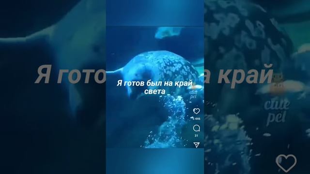 Действуй! айтишник на Яндексе