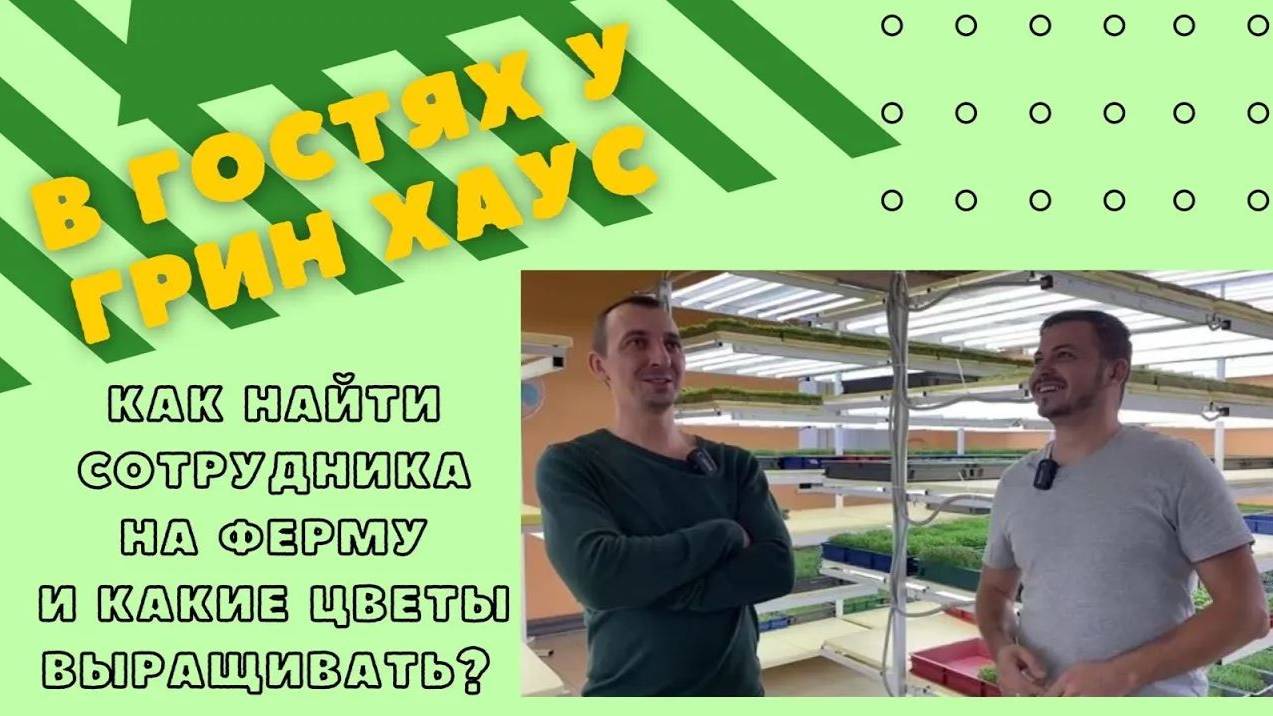 Как нанимать сотрудников на Ситиферму? | Микрозелень на ручном поливе | В гостях у Грин Хаус