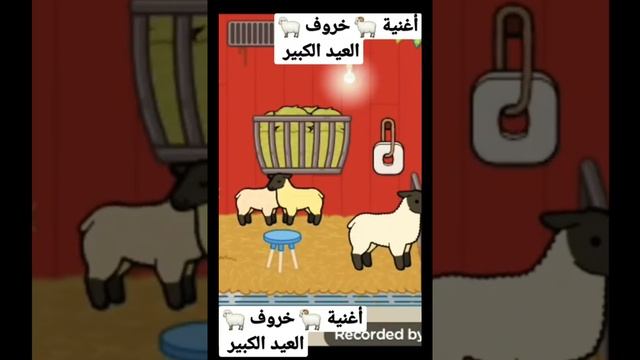 خروف عيد حبيبنا