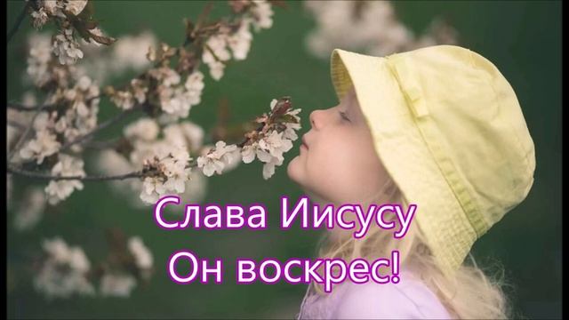 Слава Иисусу, слава Иисусу