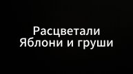 Расцветали Яблони и груши #коуч #юмор #евгенийвихрицкий #смех #песня #родина #родинамать #россия