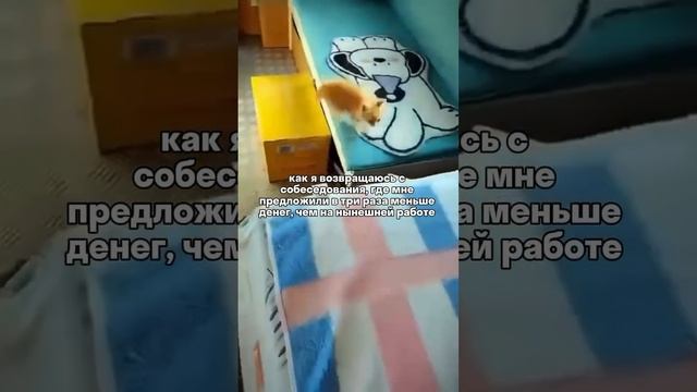 Как я возвращаюсь с собеседования