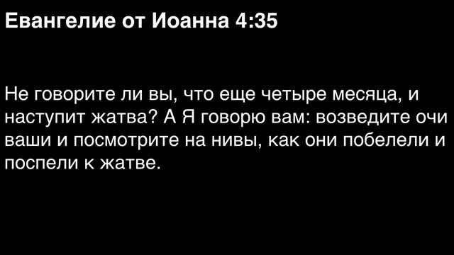 День 304. Библия за год. Библия за год. С митрополитом Иларионом.