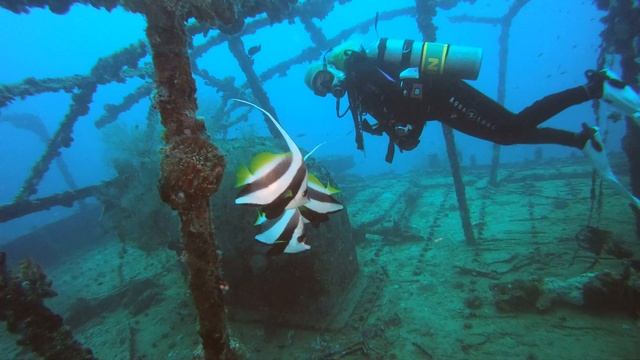 ДАЙВИНГ НА КУДА ГИРИ МАЛЬДИВЫ ПОЕЗДКА С МААФУШИ
KUDA GIRI DIVE SITE MALDIVES
