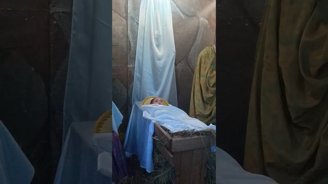 новогодняя красота