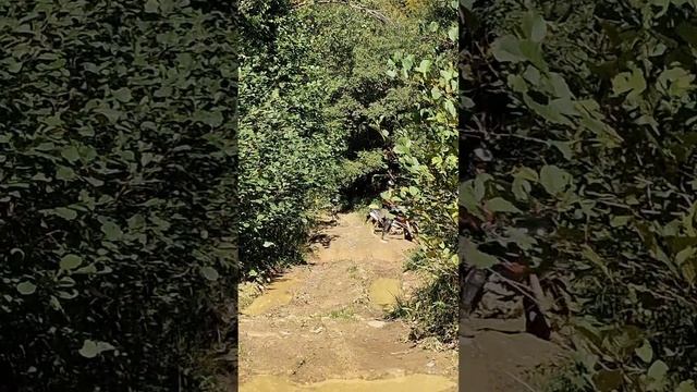 Малые Бамбаки