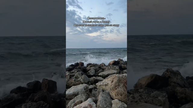 scene_output.mp4