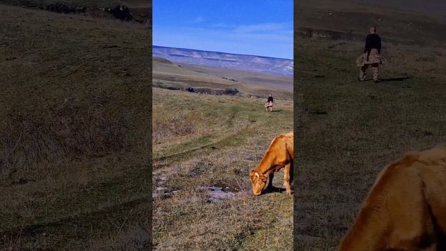 Дугур-дорбун и золотые водопады