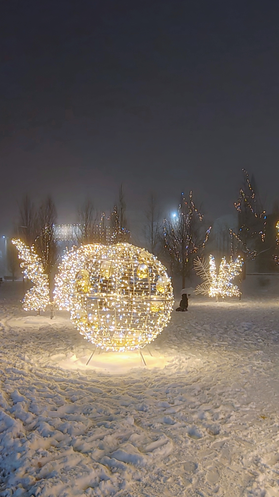 Шорт побери видео 07.01.2025