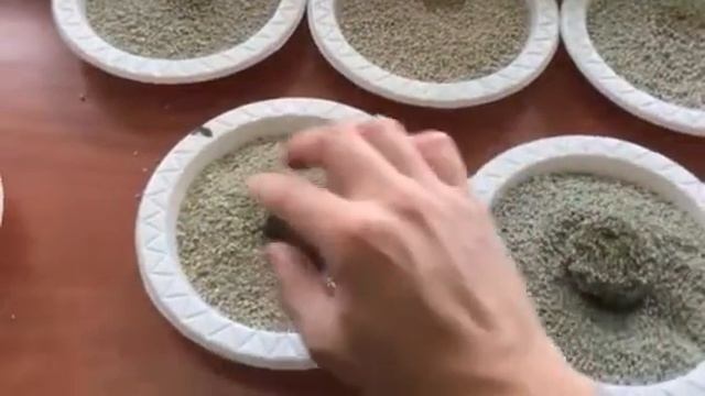 Cat Litter test with Fresh Scoop and other brands