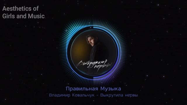 Владимир Ковальчук - Выкрутила нервы .mp4