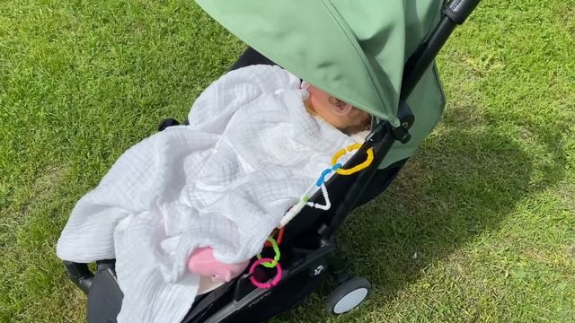 ВЛОГ В ДЕРЕВНЕ С ЕВОЙ VLOG WITH REBORN EVA