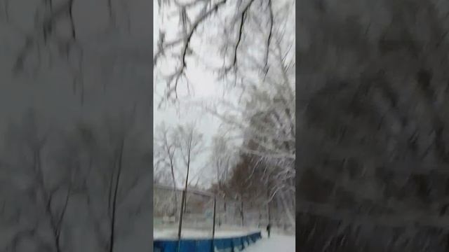VID-20250110-WA0014