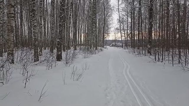 Прогулка в зимнем лесу в январе ( Музыка: Зимняя мелодия - медленная тема )