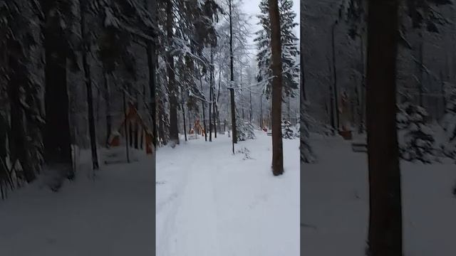 VID-20250110-WA0029
