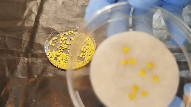 Вредные рецепты топовых огородных блогеров