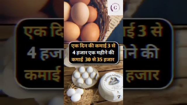 Egg shop business #shorts #youtubeshorts #business #viral