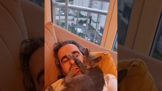 Доброе утро