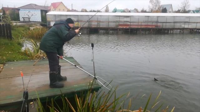 Онлайн с общего водоема