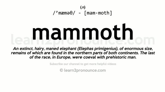 Pronunciation of Mammoth | Definition of Mammoth