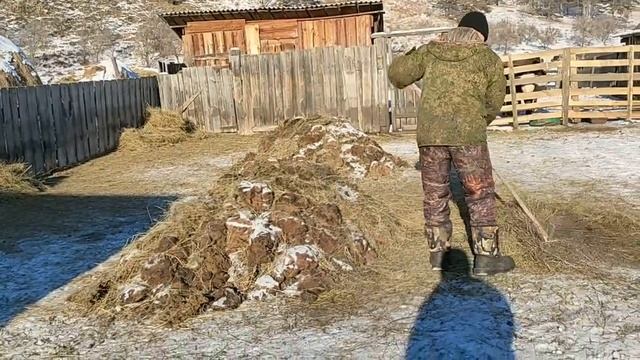 Уборка в обед, поим коровушек, убираемся. В деревне без работы не останешься.