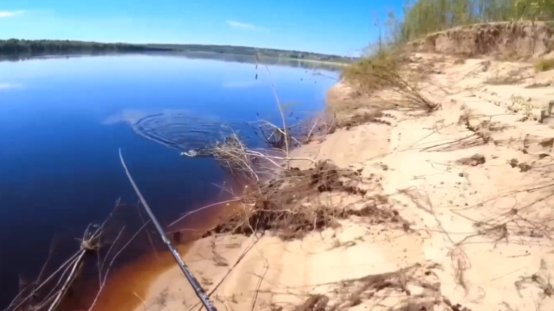 Небольшой жерешок/Приятная поклёвка! 🎣