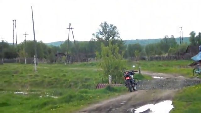 МЕДВЕДИЦА С МЕДВЕЖАТАМИ ПРИШЛИ В ПОСЕЛОК