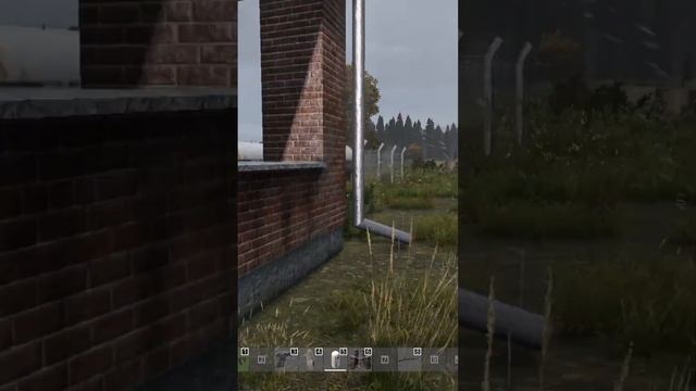Перестрелка на болотах - DayZ #dayz #дейз #shorts