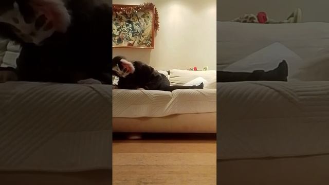 страшный дом квадробика врач с ножом часть 2