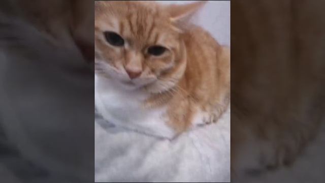 1000000278.mp4