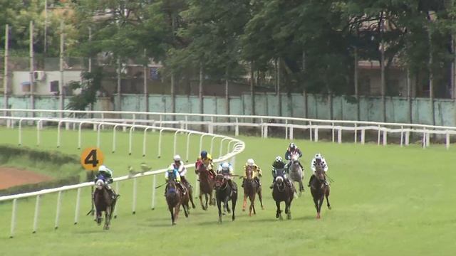 Street Cat With Jockey P.Sai Kumar Up Wins The Jack Sparrow Handicap At The Madras Race Club 2021