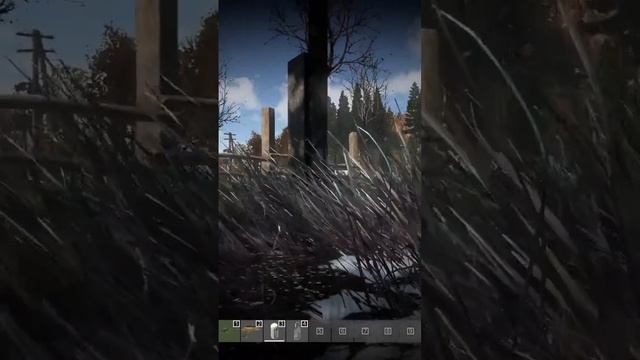 Слился с текстурой - DayZ #dayz #дейз #shorts