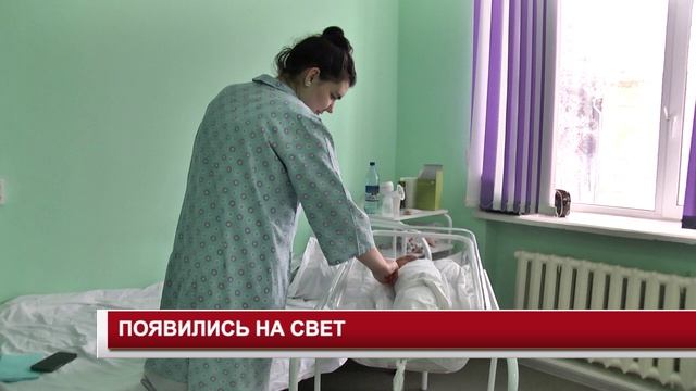 ПОЯВИЛИСЬ НА СВЕТ