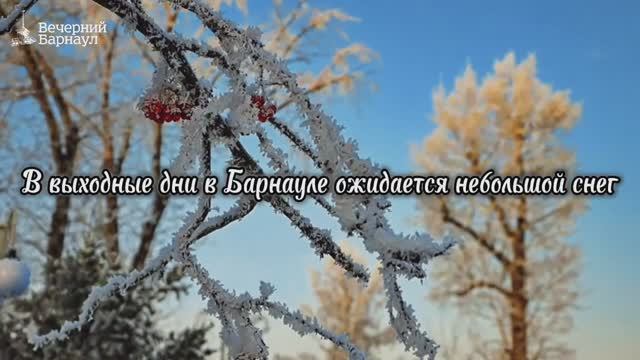 Небольшой снег ожидается на территории Барнаула в выходные дни