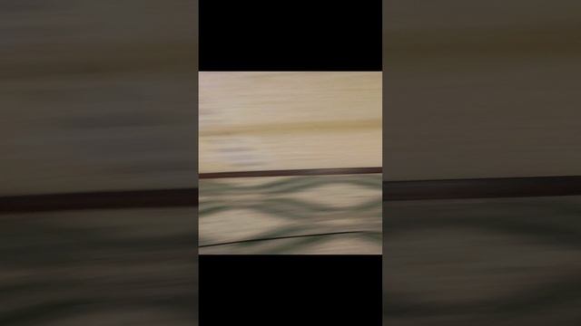 обзор на все мои колонки