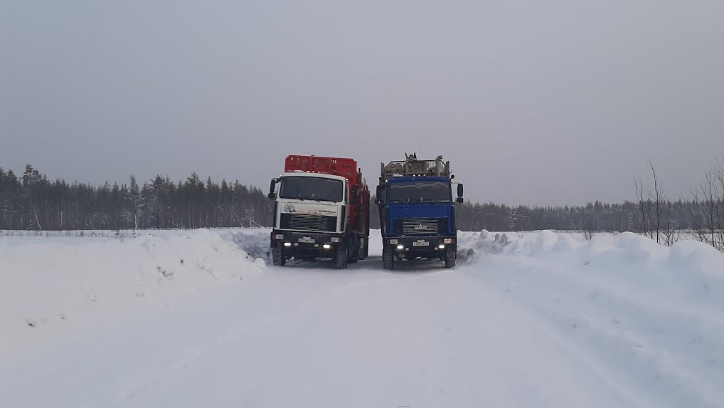 Врываемся в 2022 год. Работа в Рождество  🌲