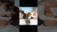 Snapchat-2081792920.mp4