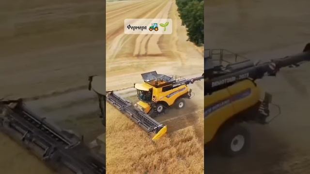Фермера 🌱🚜#фермера #блог