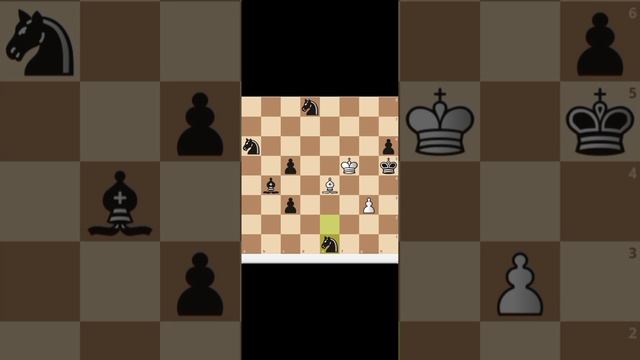 Красивый шахматный этюд! #chess