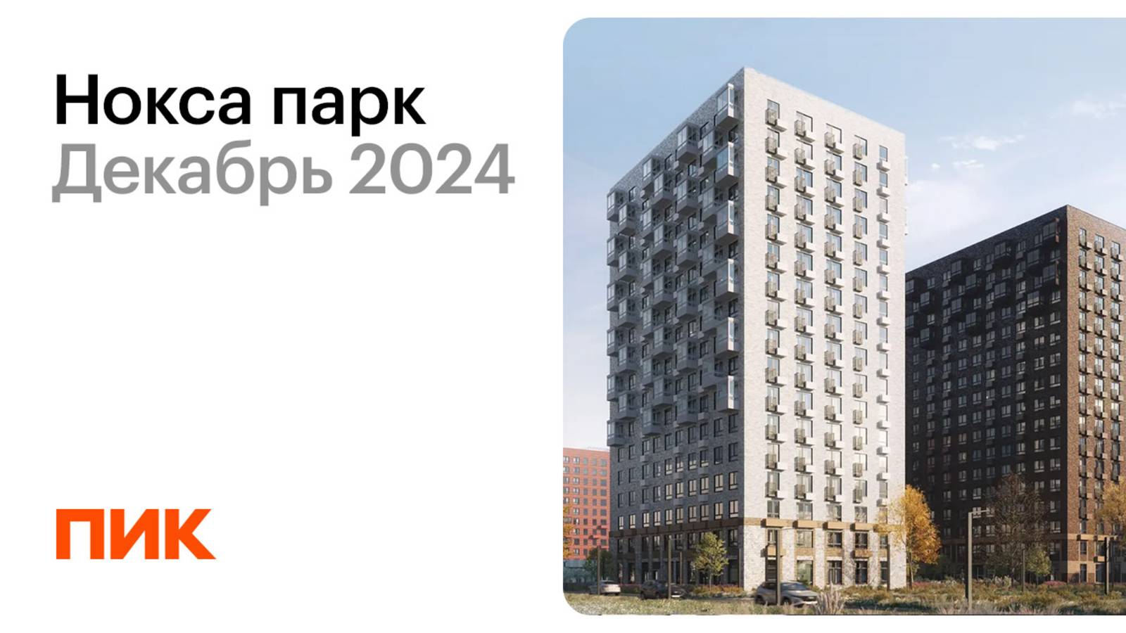 Нокса парк 10.12.2024