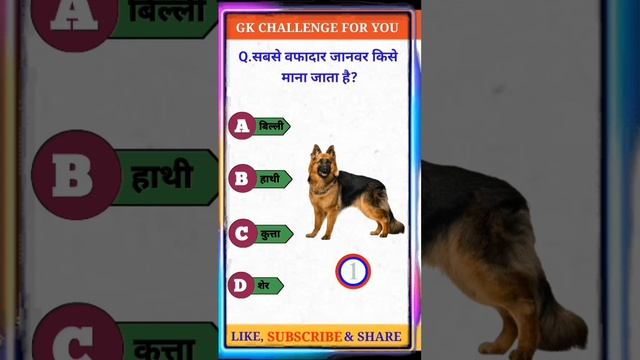 सबसे वफादार जानवर किसे माना जाता है |Who is considered the most loyal animal | #shorts