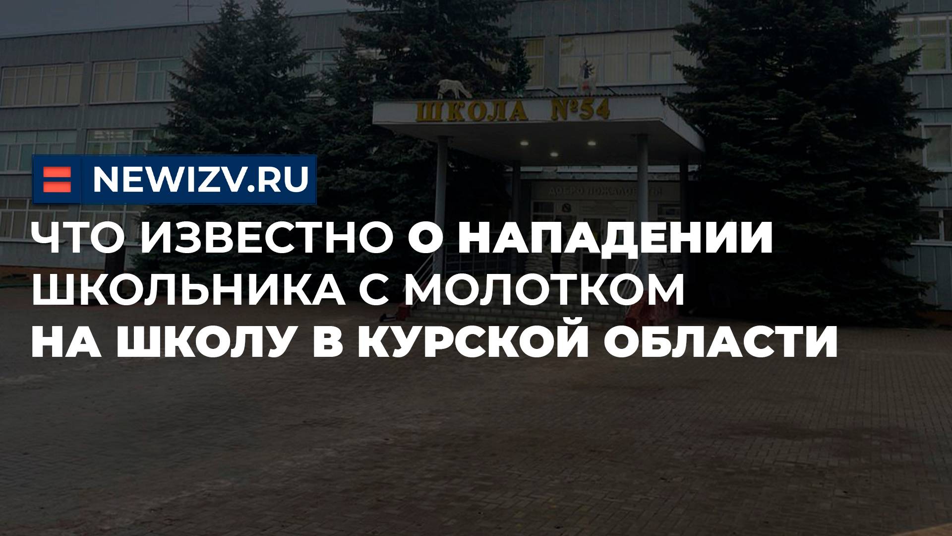 Что известно о нападении школьника с молотком на школу в Курской области