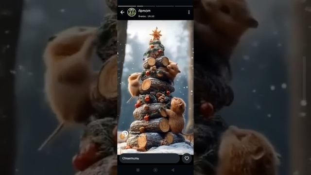 1000011405.mp4