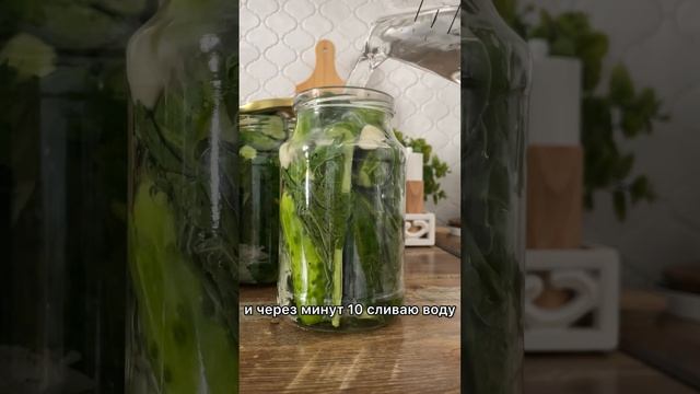 Хрустящие огурцы на зиму. Простой рецепт огурцов на зиму