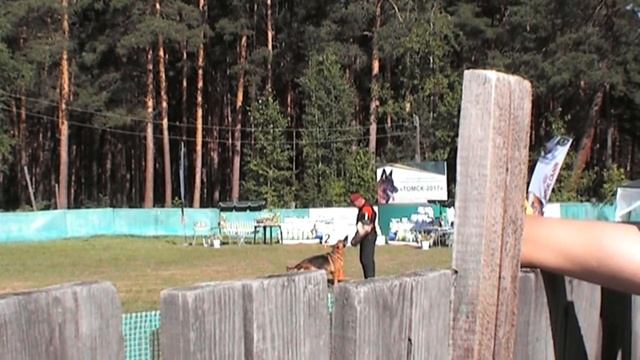 Томск 2017 проверка поведения