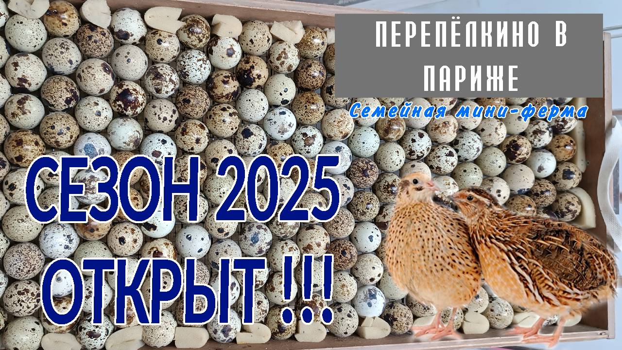 СЕЗОН 2025 ПТИЦЕВОДСТВА ОТКРЫТ