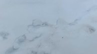 Зимовка пчёл в сарае 10.01.2025