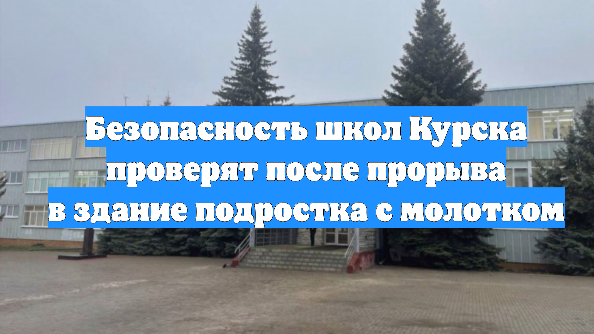 Безопасность школ Курска проверят после прорыва в здание подростка с молотком