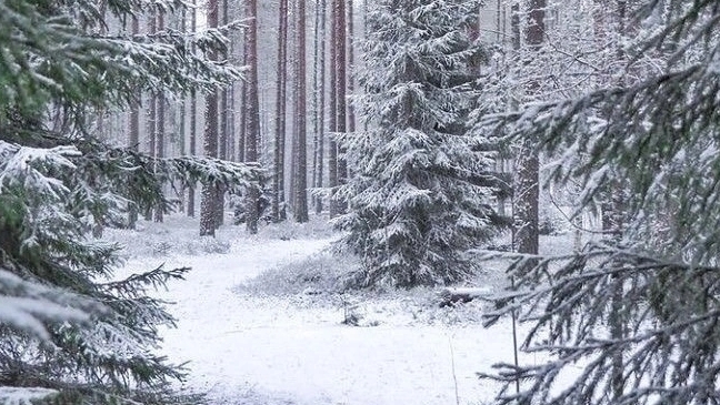 Пусть утро будет с улыбками и радостью! Доброе утро! Открытка пожелание!