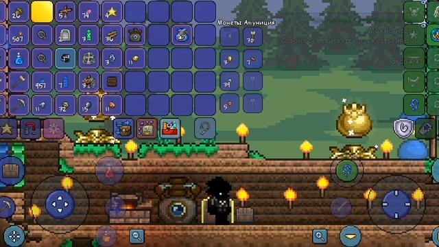 Terraria Flow1